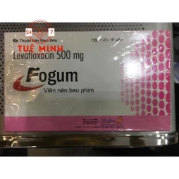 Fogum 500mg