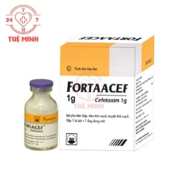 Fortaacef 1g Pymepharco - Thuốc điều trị nhiễm khuẩn