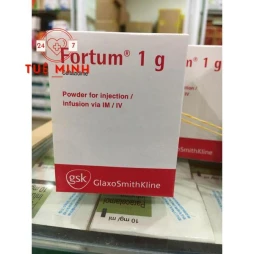 Fortum 1g