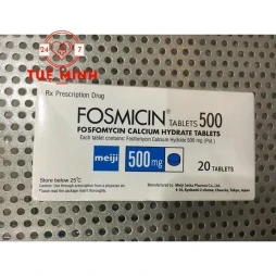 Fosmicin 500mg