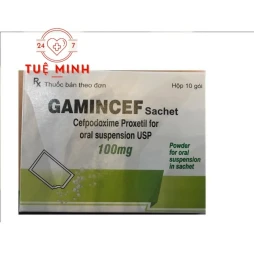 Gamincef 100mg