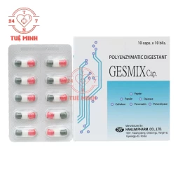 Gesmix
