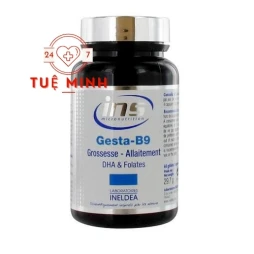 Gesta b9