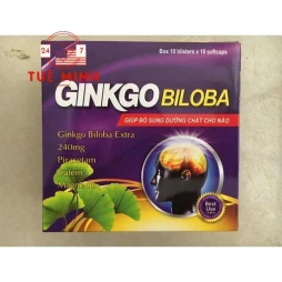 Ginkgo biloba 240mg usa
