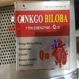 Ginkgo biloba 360mg with coenzyme q10