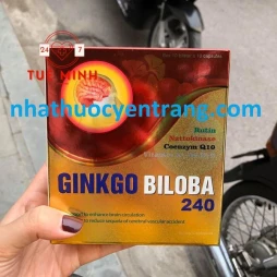 Ginkgo biloba magie b6-q10 240mg