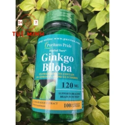 Ginkgo biloba puritans pride 120mg 100 viên