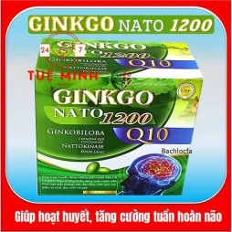 Ginkgo nato 1200 q10