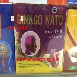 Ginkgo nato