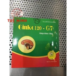 Ginko 120- g7