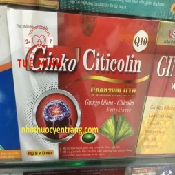 Ginko citicolin coenzym q10