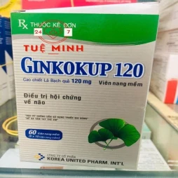 Ginkokup 120mg