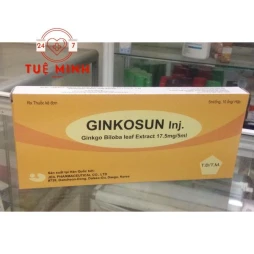 Ginkosun injection