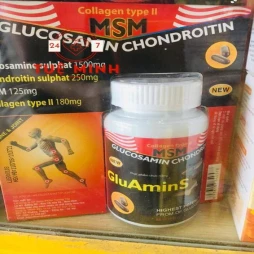 Gluamin s