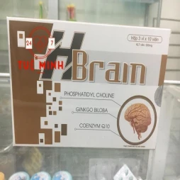 H-brain