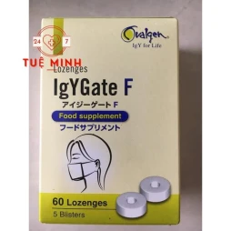 Igygate dc-f