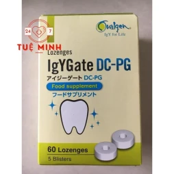 Igygate dc-pg