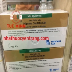 Imipenem cilastatin kabi 500mg/500mg