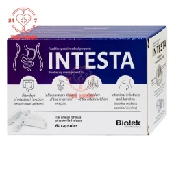 Intesta