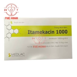 Itamekacin 1g/4ml