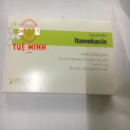 Itamekacin 500mg/2ml