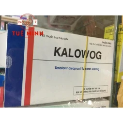 Kalowog 300mg