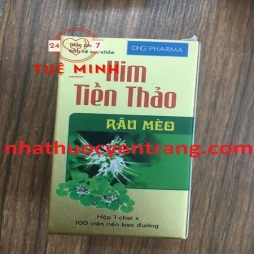 Kim tiền thảo râu mèo hậu giang