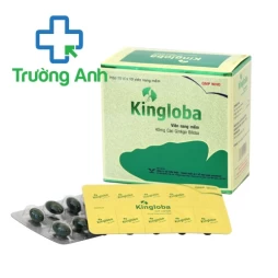 Kingloba 40mg Bidiphar - Thuốc điều trị dấu hiệu thiếu máu não