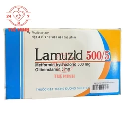 Lamuzid 500/5 Savipharm