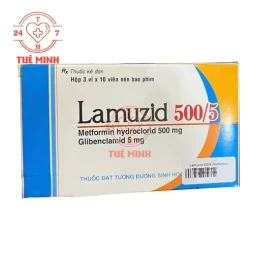 Lamuzid 500/5 Savipharm