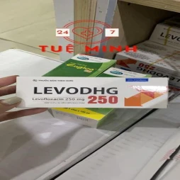 Levodhg 250mg