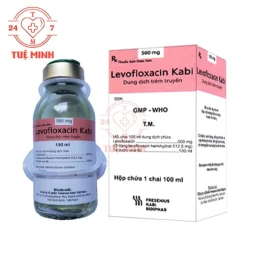 Levofloxacin Bidiphar 500mg/100ml - Thuốc điều trị nhiễm khuẩn