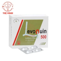 Levoquin 500 Pymepharco - Thuốc điều trị nhiễm khuẩn