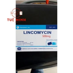 Lincomycin 500mg armephaco