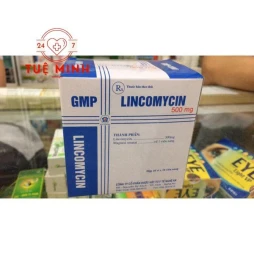 Lincomycin 500mg nghệ an