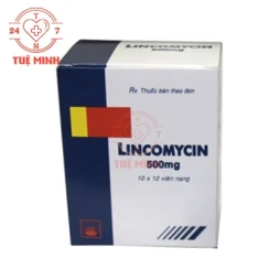 Lincomycin 500mg Pymepharco - Thuốc điều trị nhiễm khuẩn