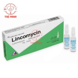 Lincomycin 600mg/2ml