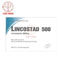 Lincostad 500 Pymepharco - Thuốc điều trị nhiễm khuẩn