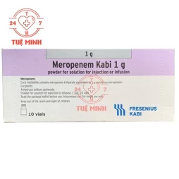 Meropenem 1g kabi