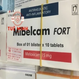Mibelcam fort