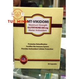 Mt-vikidomi