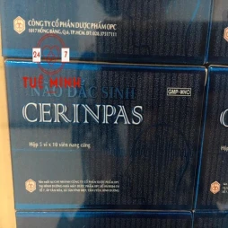 Não đắc sinh cerinpas