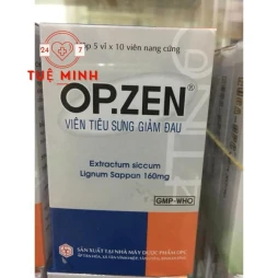 Opzen