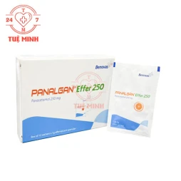 Panalgan Effer 250 VPC - Thuốc giảm đau hạ sốt từ nhẹ đến vừa