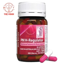 Pm h-regulator