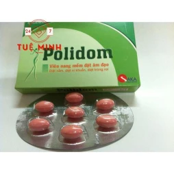Polidom