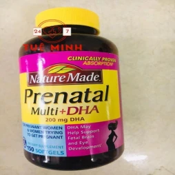 Prenatal multi +dha nature made
