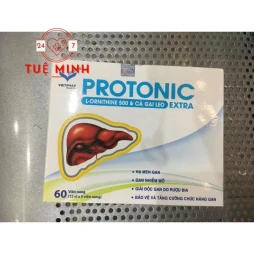 Protonic