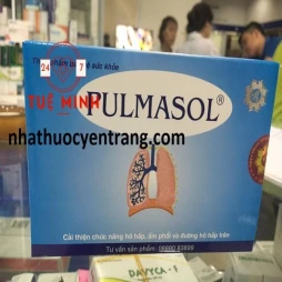 Pulmasol