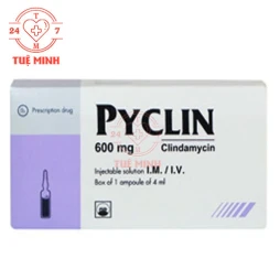 Pyclin 600 Pymepharco - Thuốc tiêm điều trị nhiễm khuẩn nặng